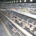 Chicken Farm Equipment Brooder Chicken Cage